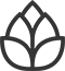 C5ffd4ee Icon 2
